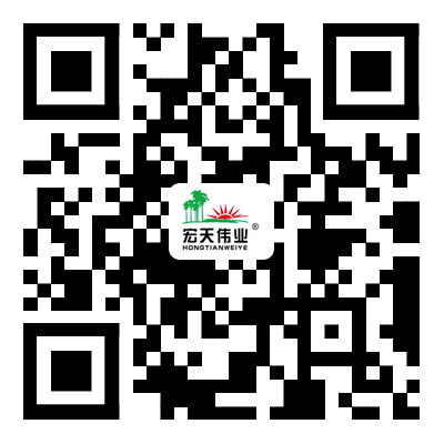 掃一掃進入手機站